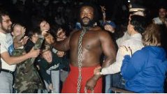 WrestleTubePC's tweet image. Today is February 28th, the final day of Black History Month — and WWE hasn’t said a word.

Black legends like Ron Simmons, Jacqueline, Mark Henry, Booker T, The Rock, Jazz, Rocky Johnson, MVP, Sasha Banks, Kofi Kingston, Bianca Belair, and countless other names shaped wrestling…