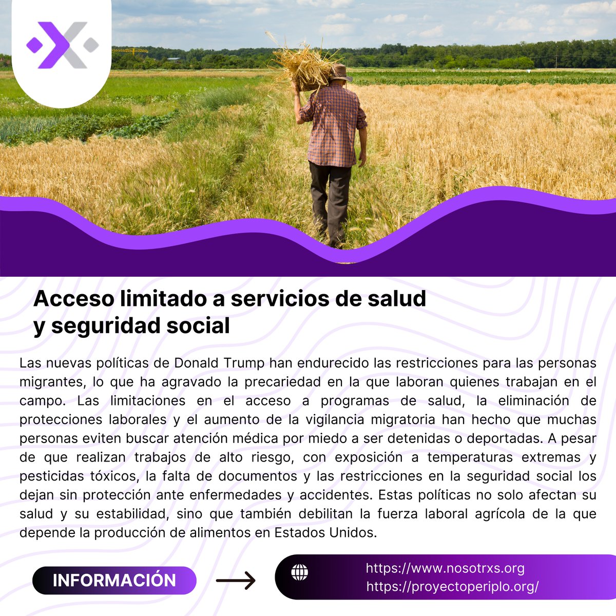 #Jornaleros #Migración #Agrícolas
<a href="/ProyectoPeriplo/">Periplo</a>

Las restricciones migratorias en EE.UU. han limitado el acceso a salud y protecciones laborales para quienes trabajan en el campo. Estas políticas no solo afectan su bienestar, también la estabilidad de la producción agrícola.