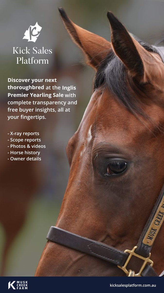 🟪 Kick Sales Platform 🟪

Discover your next thoroughbred <a href="/inglis_sales/">Inglis</a> Premier with complete transparency and free buyer insights, all at your fingertips.

🩻 X-ray reports 
🩺 Scope reports
📸 Photos &amp; videos
📄 Horse history
📄 Owner details 

View <a href="/MuskCreekFarm/">Musk Creek Farm</a>’s draft now