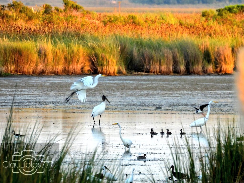 Despelote en variedad y cantidad.
Ya los voy a atomizar con algunos retratos jaja