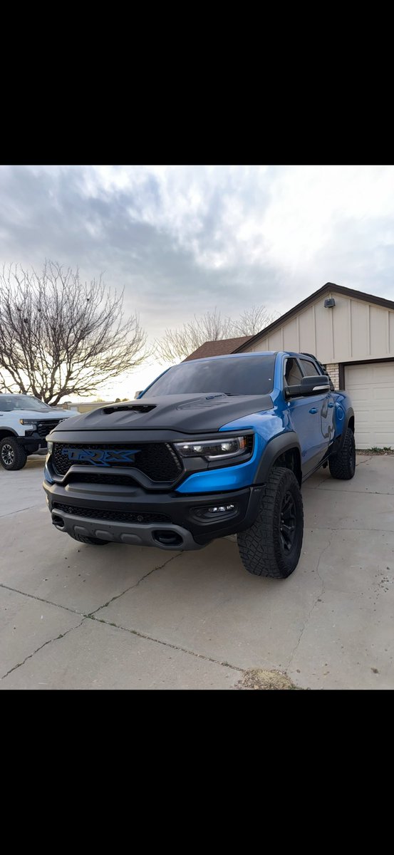 👑 🦍 azur tweet media