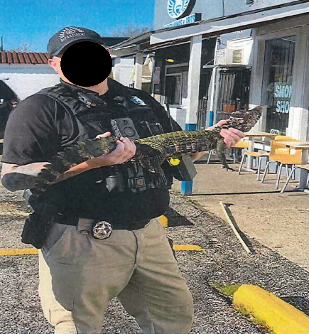 NDTXnews's tweet image. Eight known gang members were arrested in an @ATFDallas operation targeting an area known as "Dead End."
During the takedown, agents seized guns, drugs, cash, Crips-themed jewelery, and a live caiman alligator, which was transported to the @DallasZoo.
justice.gov/usao-ndtx/pr/e…