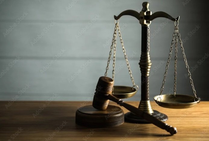 JunkSavvy tweet media