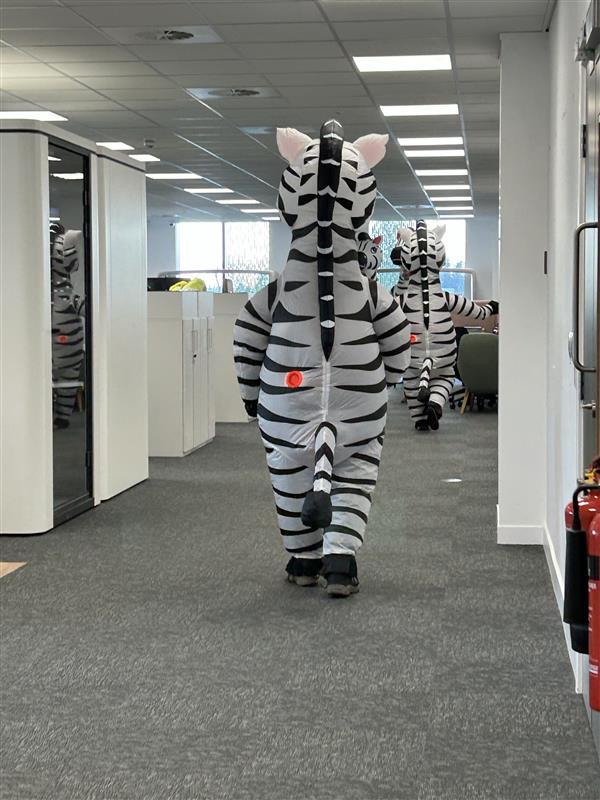 I celebrated #RareDiseaseDay2025 in #ZebraStyle! Some wonderful colleagues joined me in bringing some joy&amp; #Awareness to the office. We had great fun prancing about &amp; entertaining the team! More importantly, we're helping #RaiseAwareness of #RareDisease, including #Lipodystrophy.