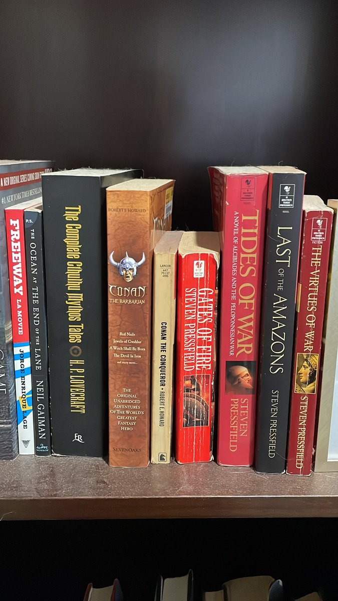 justinmgermain's tweet photo. These books are what I’m about.

#cthulu #conan #gatesoffire #lastiftheamazons #thumosrising #lovecraft #robertehoward #stevenpressfield https://t.co/PO1JG0Ae7M