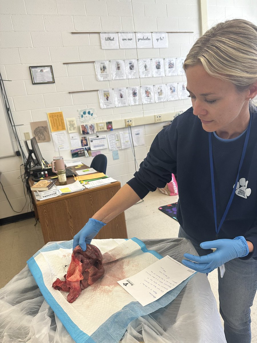WSWHEBOCES_DS (@wswheboces_ds) on Twitter photo When you visit the Animal Science Program <a href="/WSWHEBOCES/">WSWHE BOCES</a> you just might get a lesson on a cow heart! Amazing! When you visit the Animal Science Program <a href="/WSWHEBOCES/">WSWHE BOCES</a> you just might get a lesson on a cow heart! Amazing!