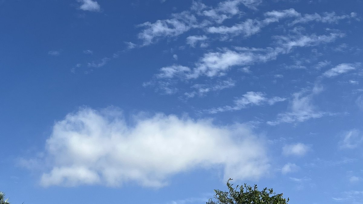 Scotyfry33's tweet photo. @robinmonotti SoCal today

Natural clouds! Yay 

Havnt seen any # or |||||| clouds for about 3-4 days https://t.co/hmofBfHeHe