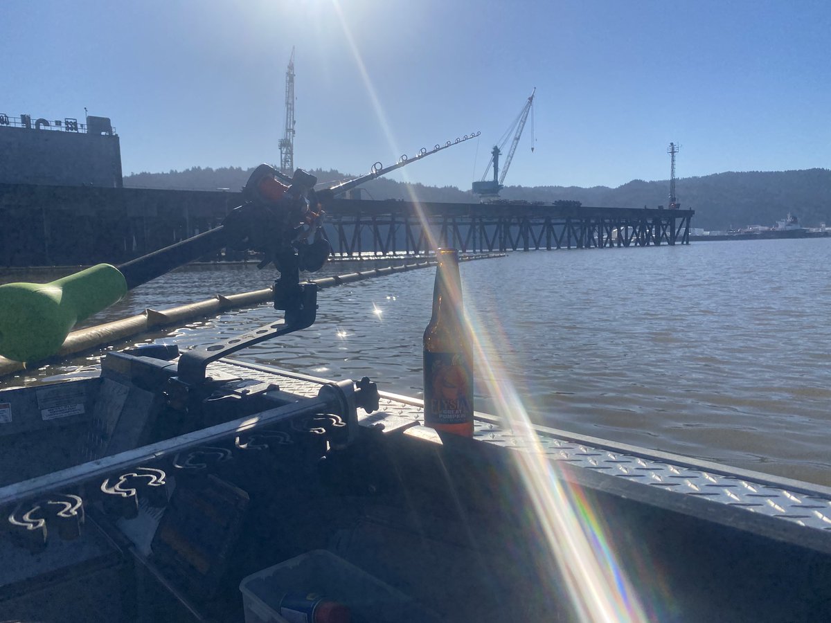 FOWLED UP tweet media