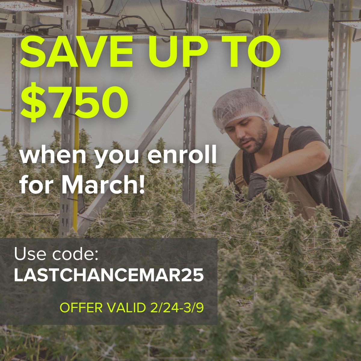 Last Chance to Save! Our Cannabis Certificate programs start March 3. Enroll now and save up to $750 with code LASTCHANCEMAR25. Details: cannabiseducation.unr.edu  #CannabisEducation #CareerGrowth