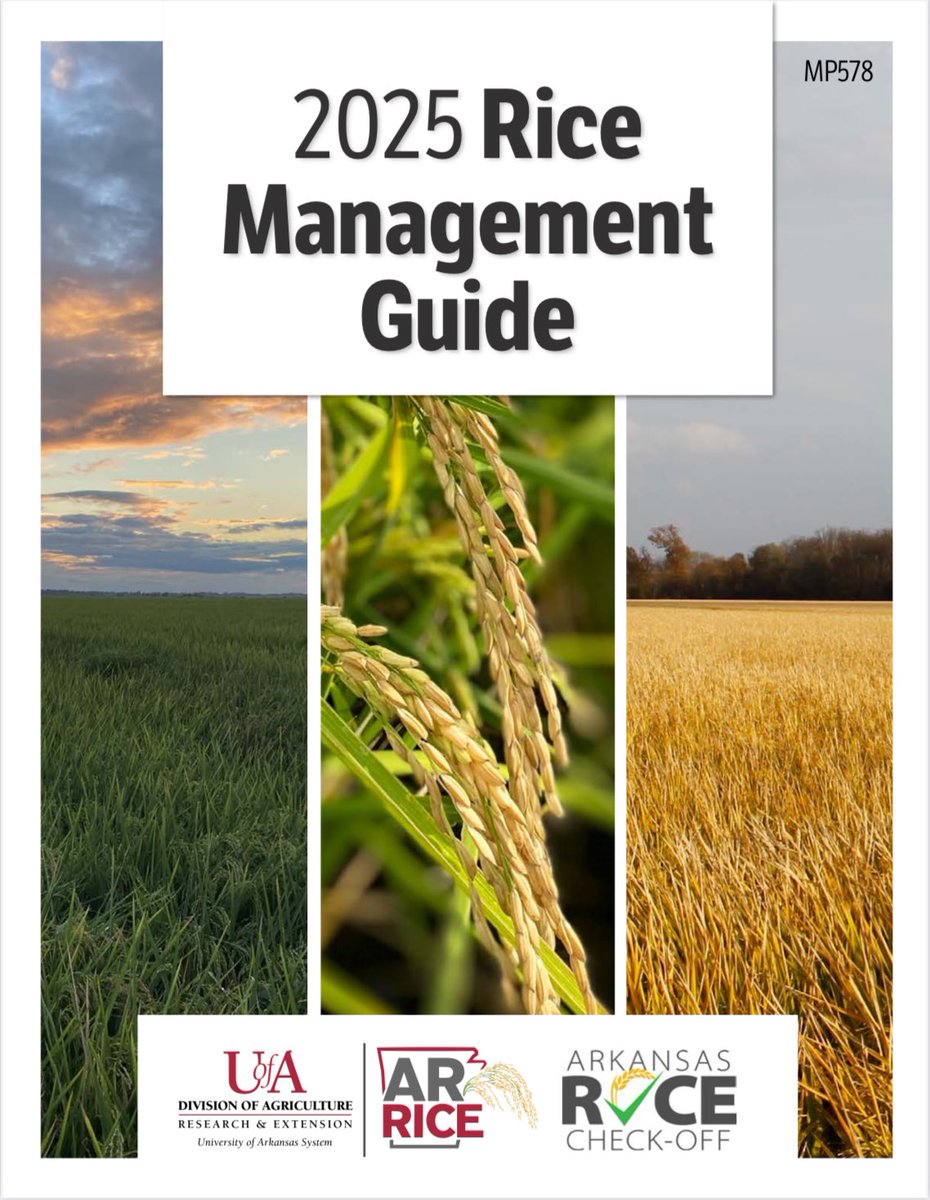 2025 Rice Management Guide now available for download:
uaex.uada.edu/farm-ranch/cro…

Printed copies will soon be available at county Extension offices.