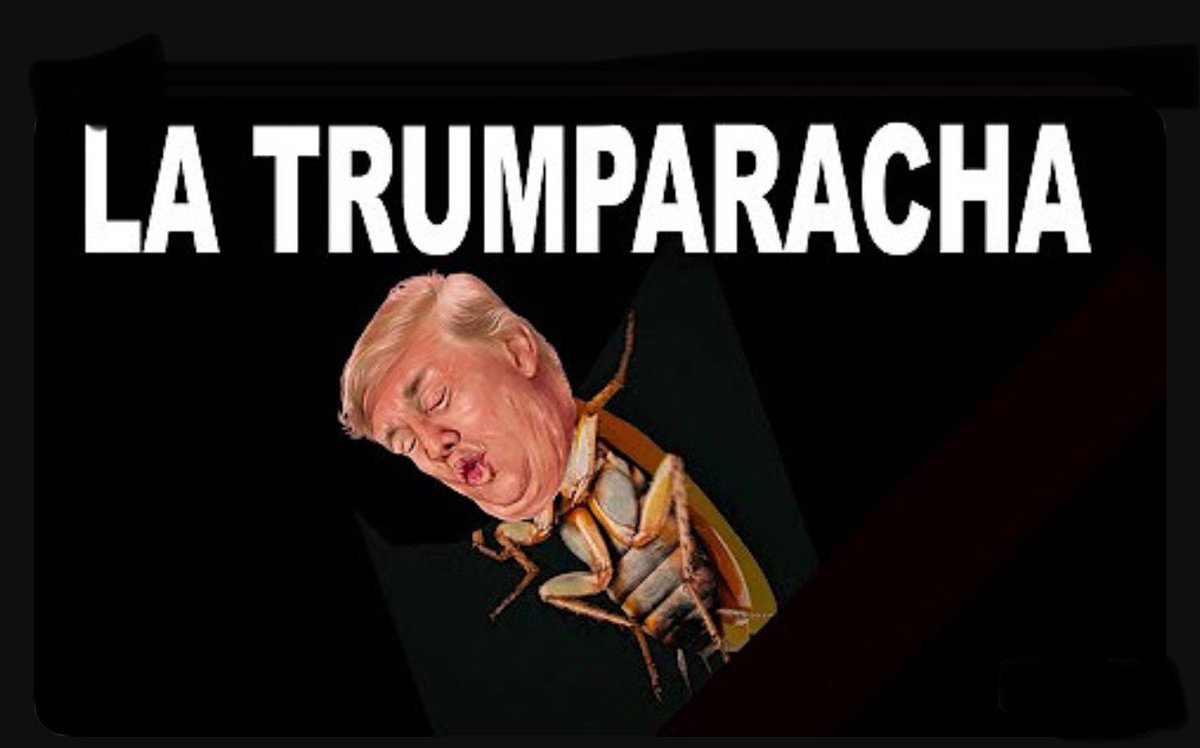 AllOutPolMayhem's tweet photo. @ZelenskyyUa @POTUS Trump is cockroach… and so is couch humpin, maybelline wearing simp Vance. 🙄 They were so embarrasing to watch. https://t.co/MbyIv9TG7L