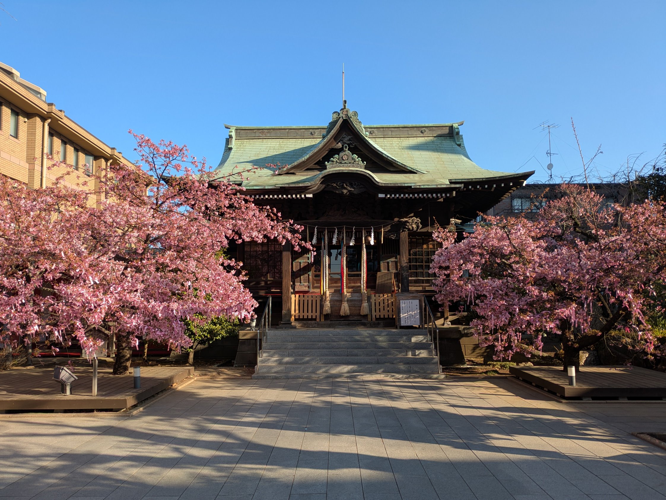 新年の贈り物 大放出セール】 【中古】 日本の神々 神社と聖地 3 摂津・河内 仏教