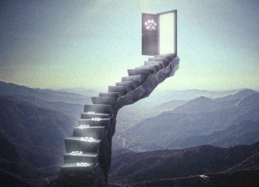 ALWAYS LOOK CLOSER 🐾

Code to Vouchers was hidden in the latest PAWS vids.

You cracked it fast lol - congrats to the winners!

Follow for more riddles &amp; exclusive content:

Instagram: @ getpawsed
TikTok: @ pawslabs
YouTube: @ pawsuplabs