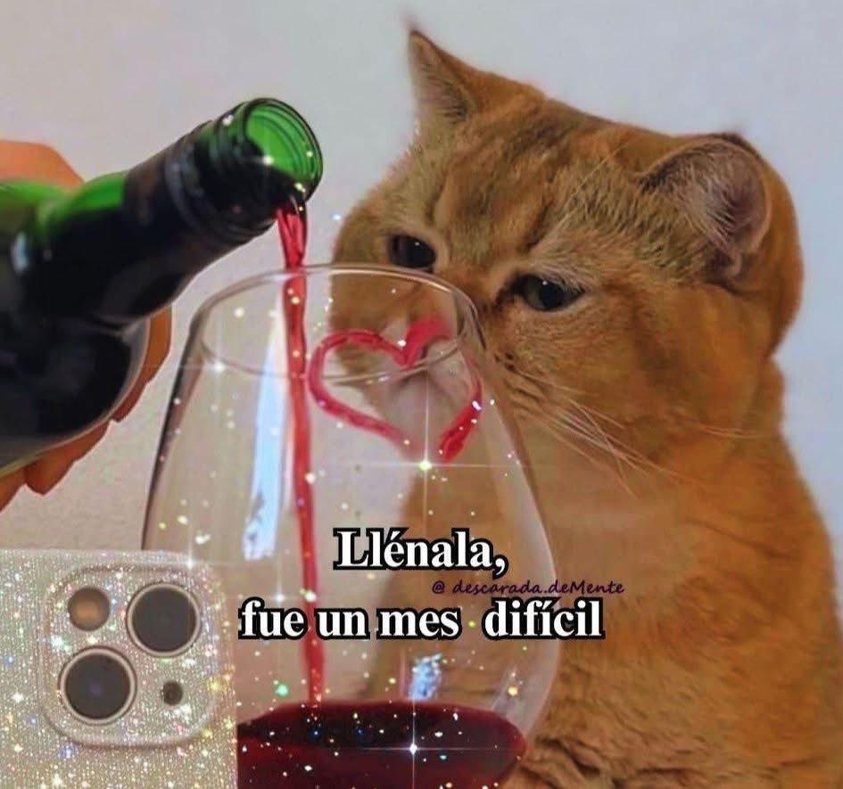 Porfi.