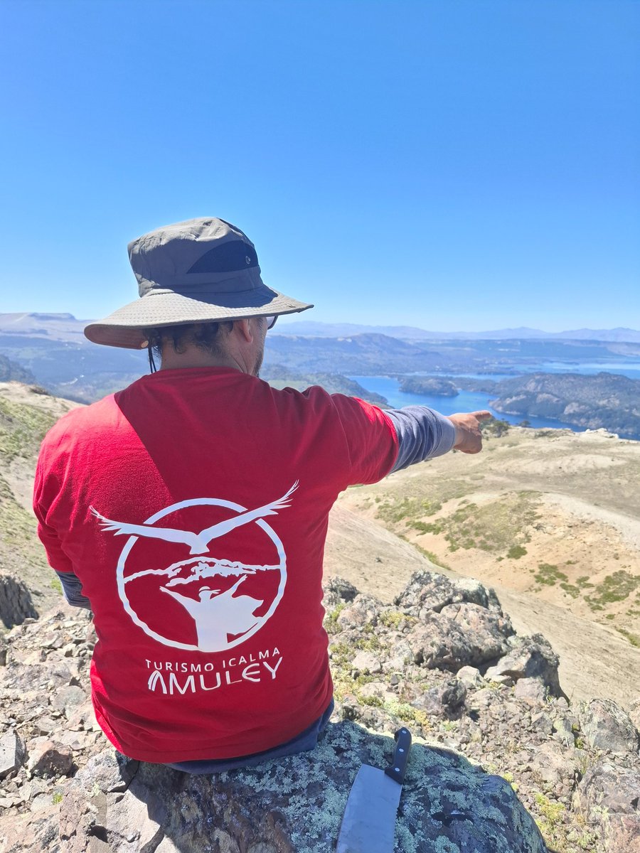 Pedro Cayuqueo tweet media