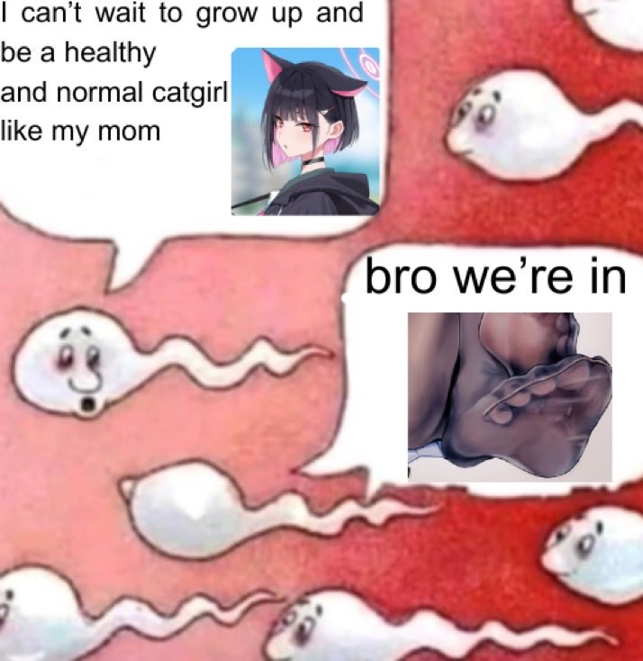 Bad Blue Archive Memes tweet media