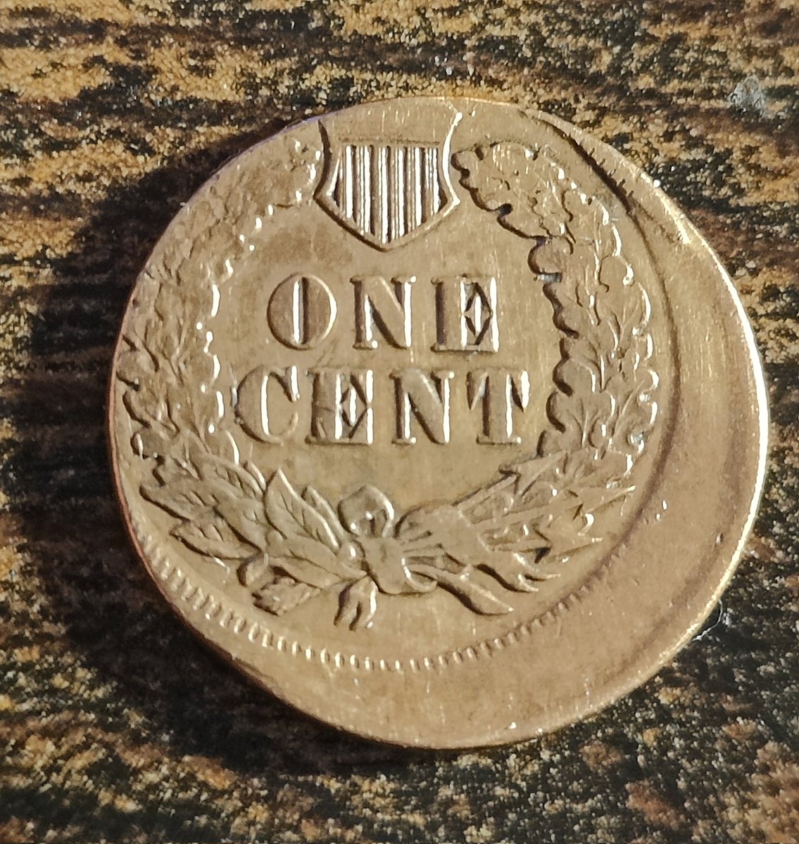 GreyBear777's tweet image. An 1895 Indian head cent that was struck just a tad bit off-center. #coins #pcgs #pmg #Investment