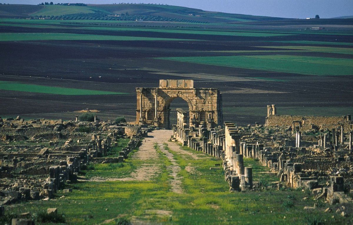 𝙳𝚊𝚗𝚒𝚎𝚕 ☈ tweet media