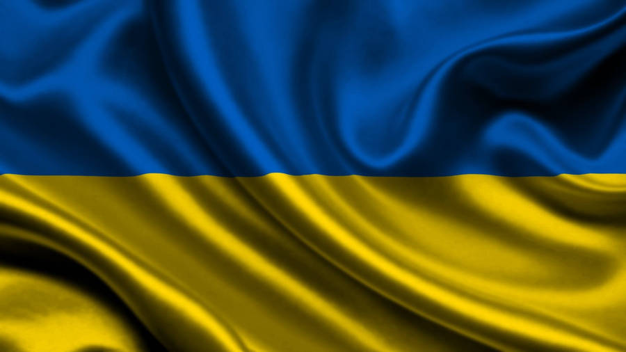 annenelson1964's tweet photo. I am showing my support of Ukraine, as a sovereign Country, after what I have witnessed today ..... that is, the shocking and appalling insults, bullying, the arrogance of Trump and Vance, 'representing,' the USA.

#DonaldTrump #POTUS #JDVance you should hang your heads in shame. https://t.co/LWuVyKbkOv
