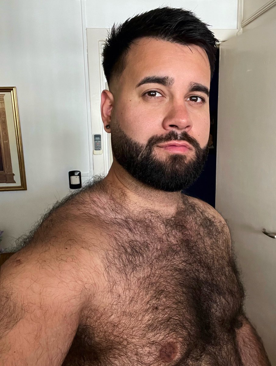 El Bearcito (@luisporta01) on Twitter photo 