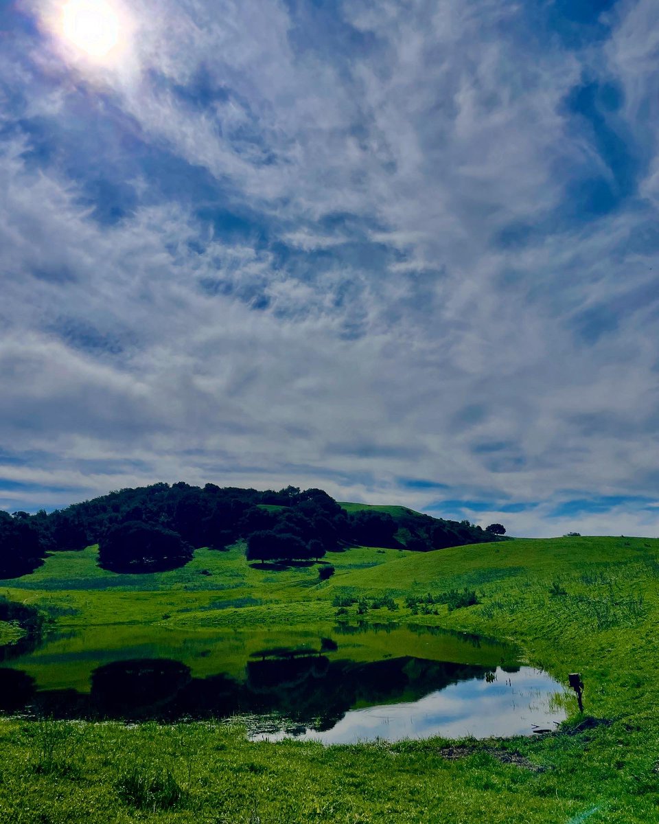 FeralHeather's tweet image. Had a blast hiking with @DEC0L0NIZE esta mañana! 

We even saw a tiny little baby California ring-neck snake! &amp;amp; lots of wildflowers!

#DisabilityTwitter moots to IRL friends FTW!

Now back to the grading grind….