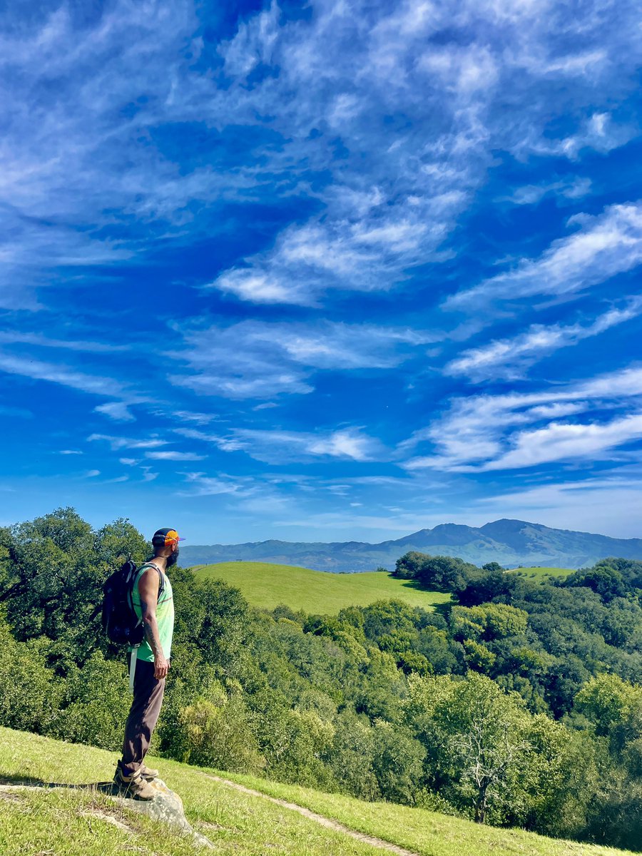 FeralHeather's tweet image. Had a blast hiking with @DEC0L0NIZE esta mañana! 

We even saw a tiny little baby California ring-neck snake! &amp;amp; lots of wildflowers!

#DisabilityTwitter moots to IRL friends FTW!

Now back to the grading grind….
