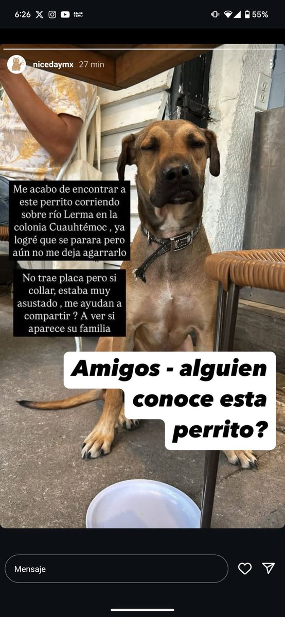 sh4p0's tweet photo. @LaRomaDF hola me ayudan a difundir porfa https://t.co/ZgvFd8sgR8