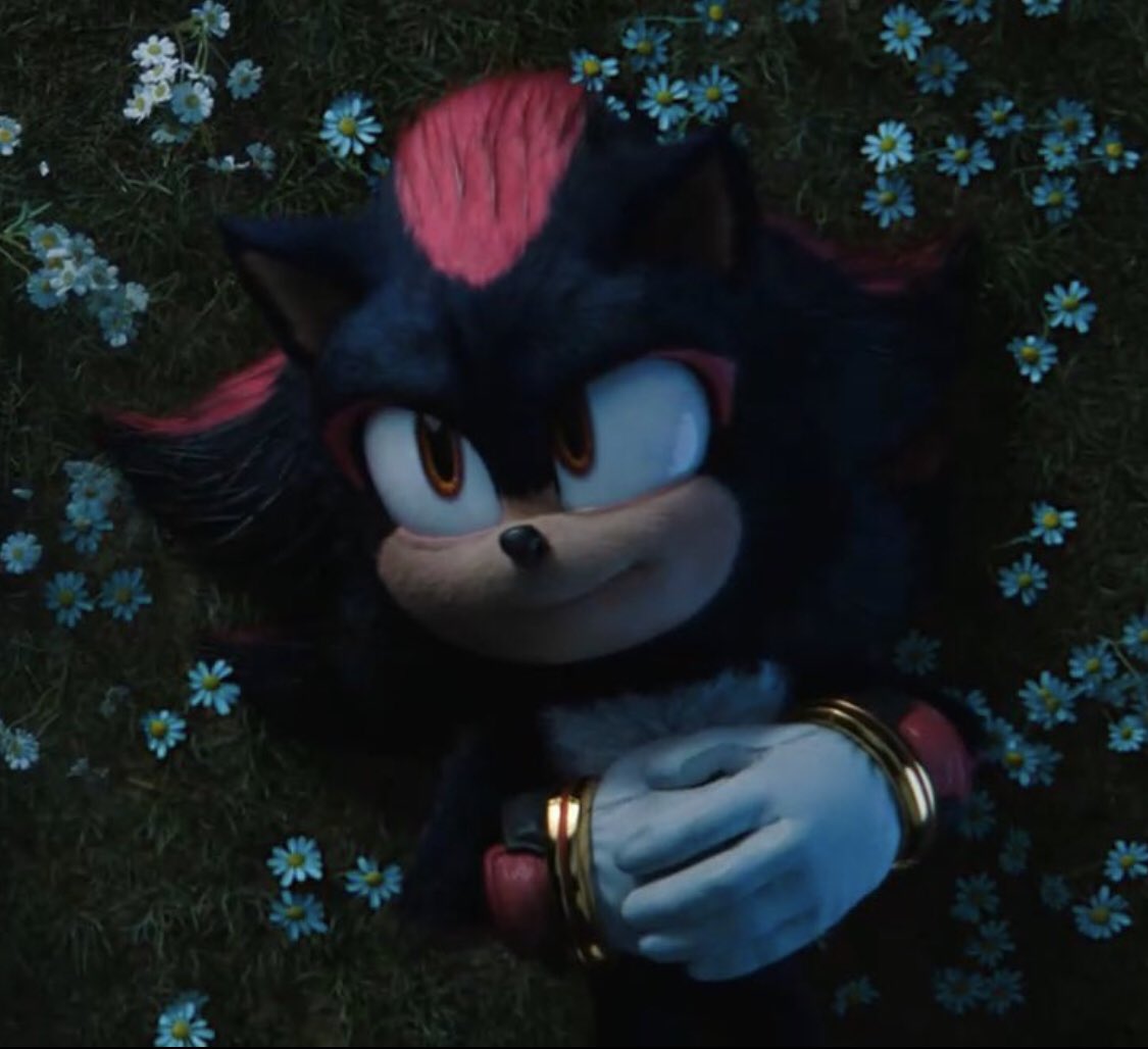hearts2shadow's tweet photo. He is the ultimate cutie pie https://t.co/4VuXIuEvdu
