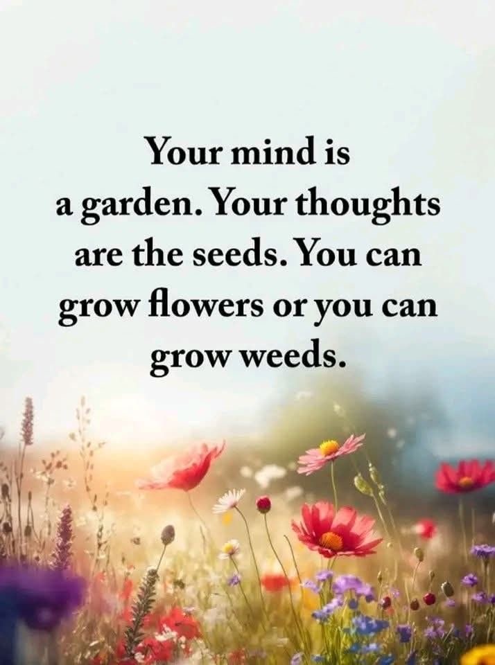 Art of Thinking (@art0fthinking) on Twitter photo 