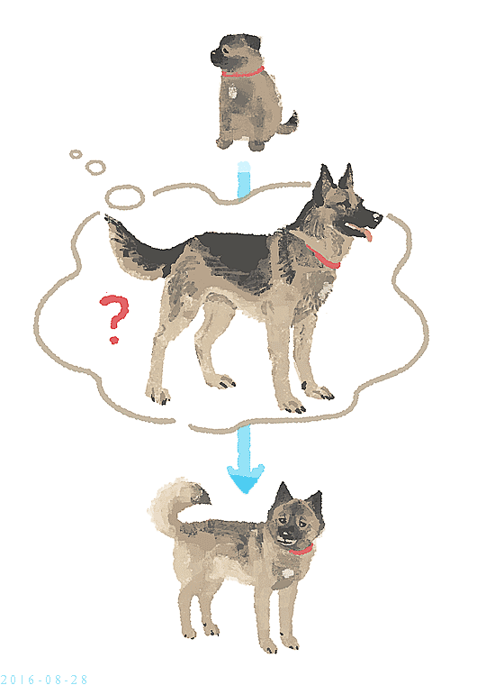 junkuma (@j_kmor) on Twitter photo 