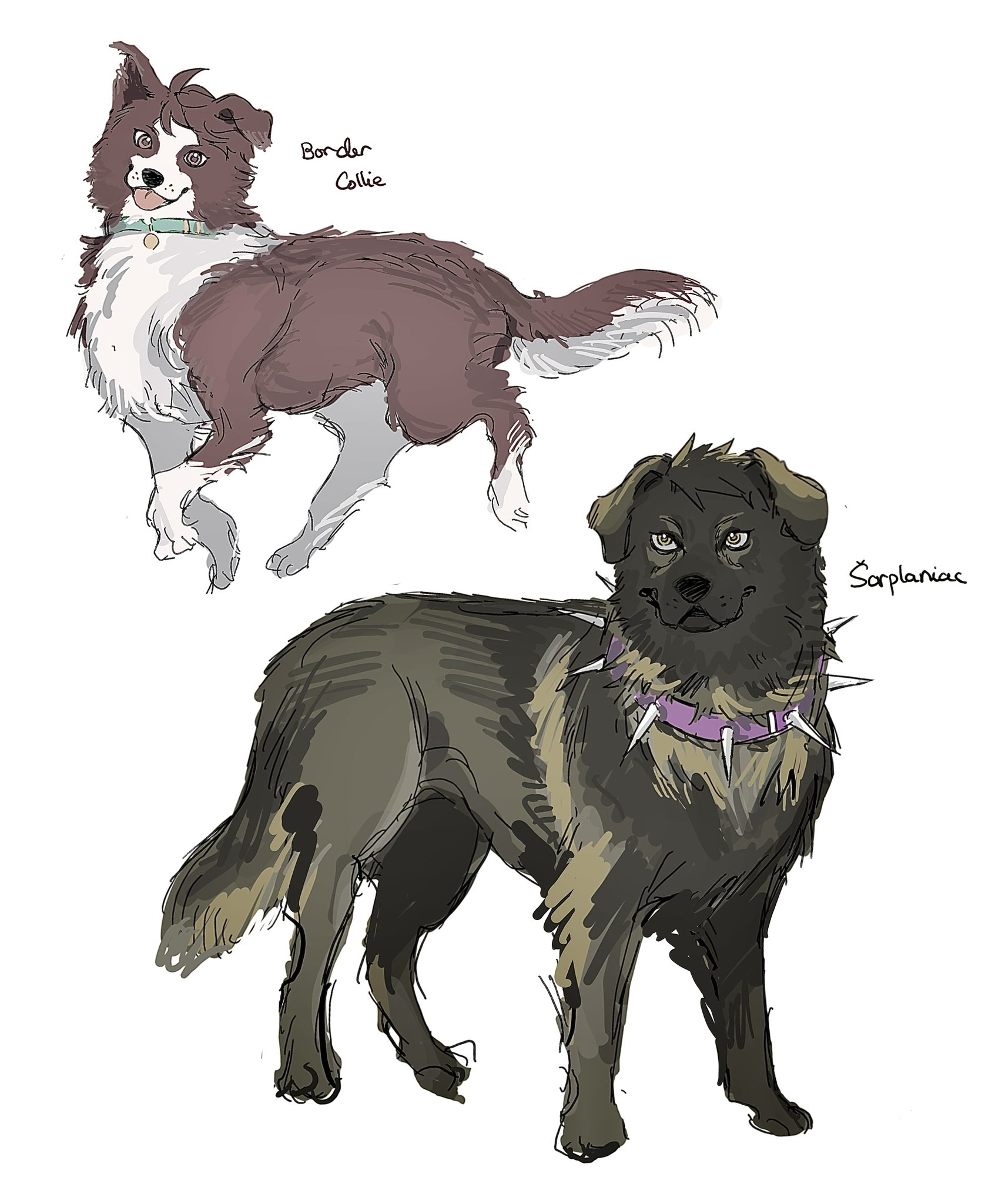 牛島若利　クロニクル　53枚 2025年8月発売『ハイキュー!!』牛島若利 バースデイ商品