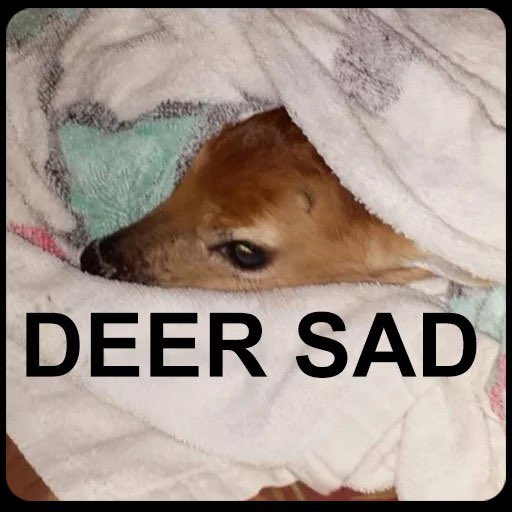 prongs (@jayfpotter) on Twitter photo 