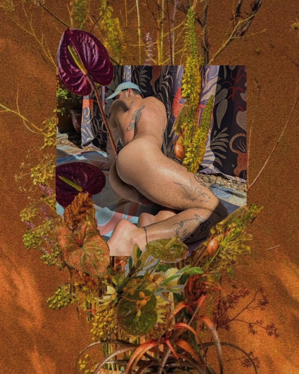 Pressed Flower v