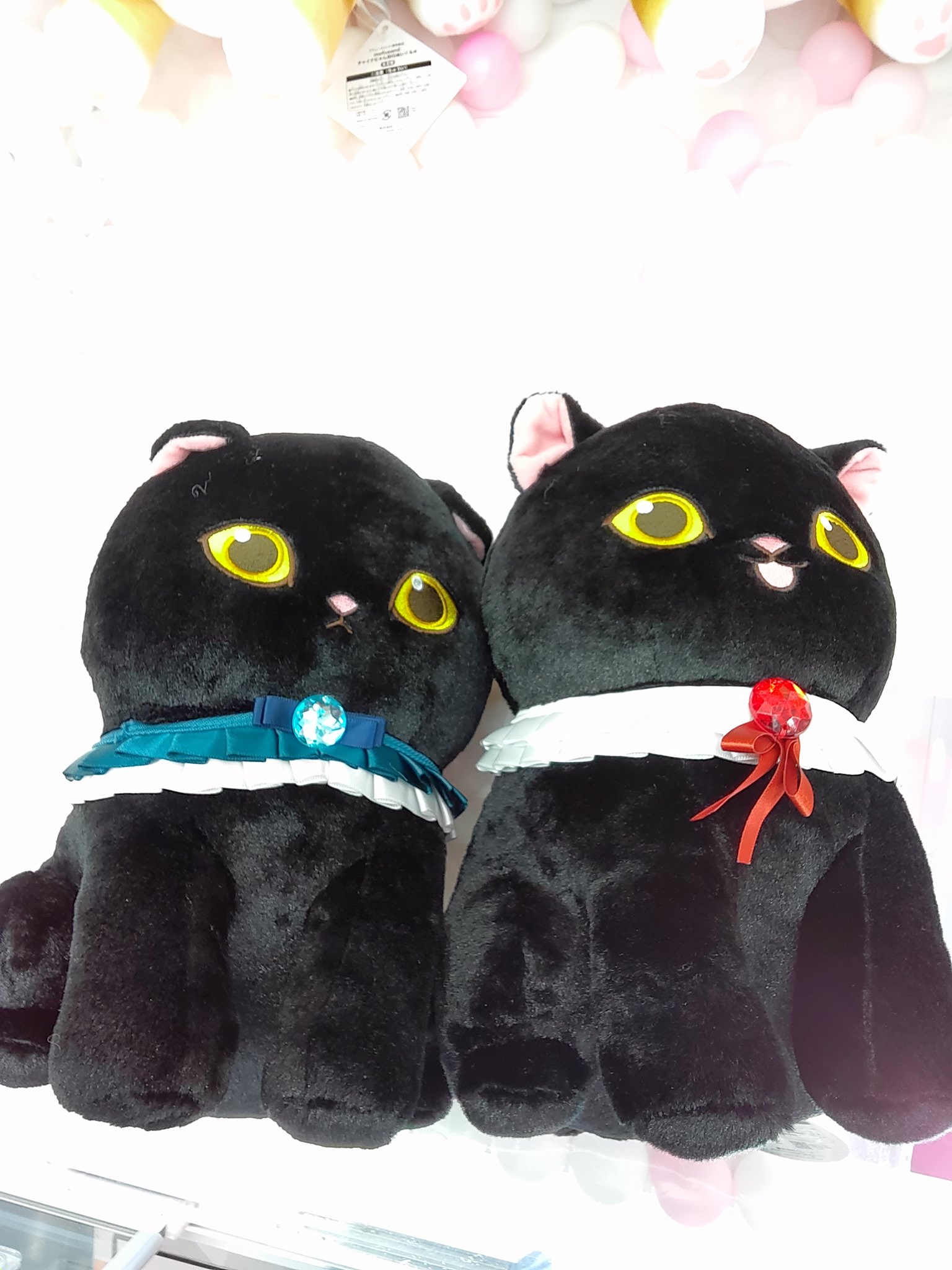 黒仔猫にゃんbig - البحث / X