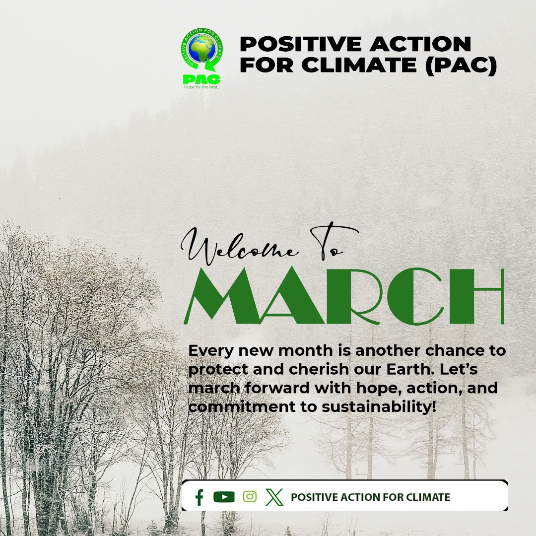 Positive Action for Climate tweet media