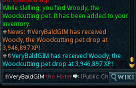 Well, just as I was about to log out, I got another skilling pet. It's been a pretty good day for me. Maybe it is #RuneFest luck?