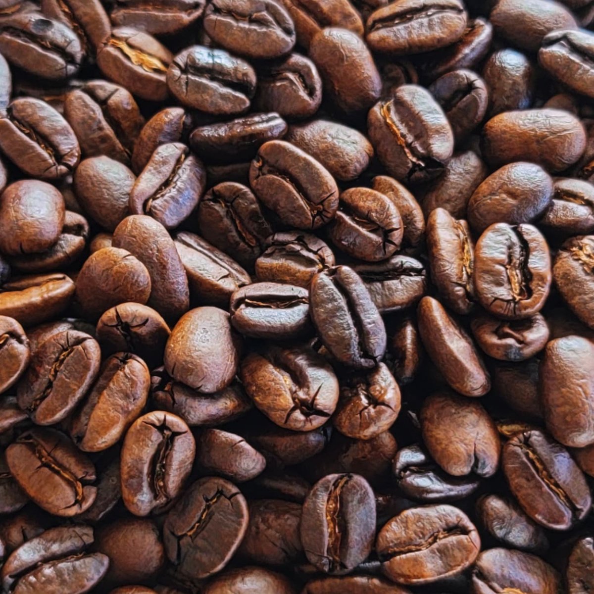 neconomecoffee's tweet photo. #インドネシア #マンデリン #ホルン #ゼリブ #ラジャ シルキーで滑らかな口当たりと心地よい苦味を楽しむ #新鮮厳選 #炭火焙煎 #北海道の炭と薪から丁寧に焙煎 #ねこのめ #ねこのめ珈琲 https://t.co/44yC2sWkMv