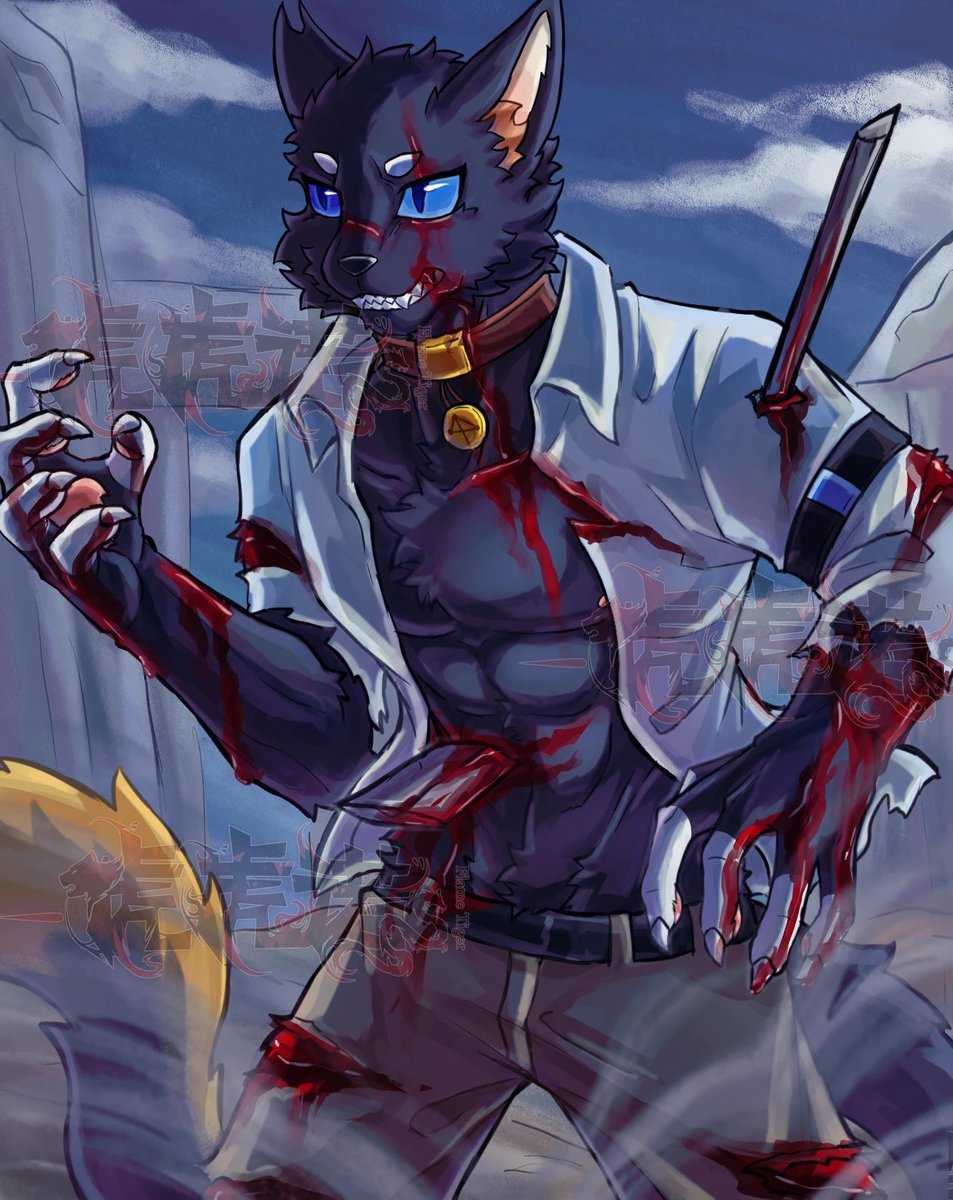 #kemono #furry
黑猫