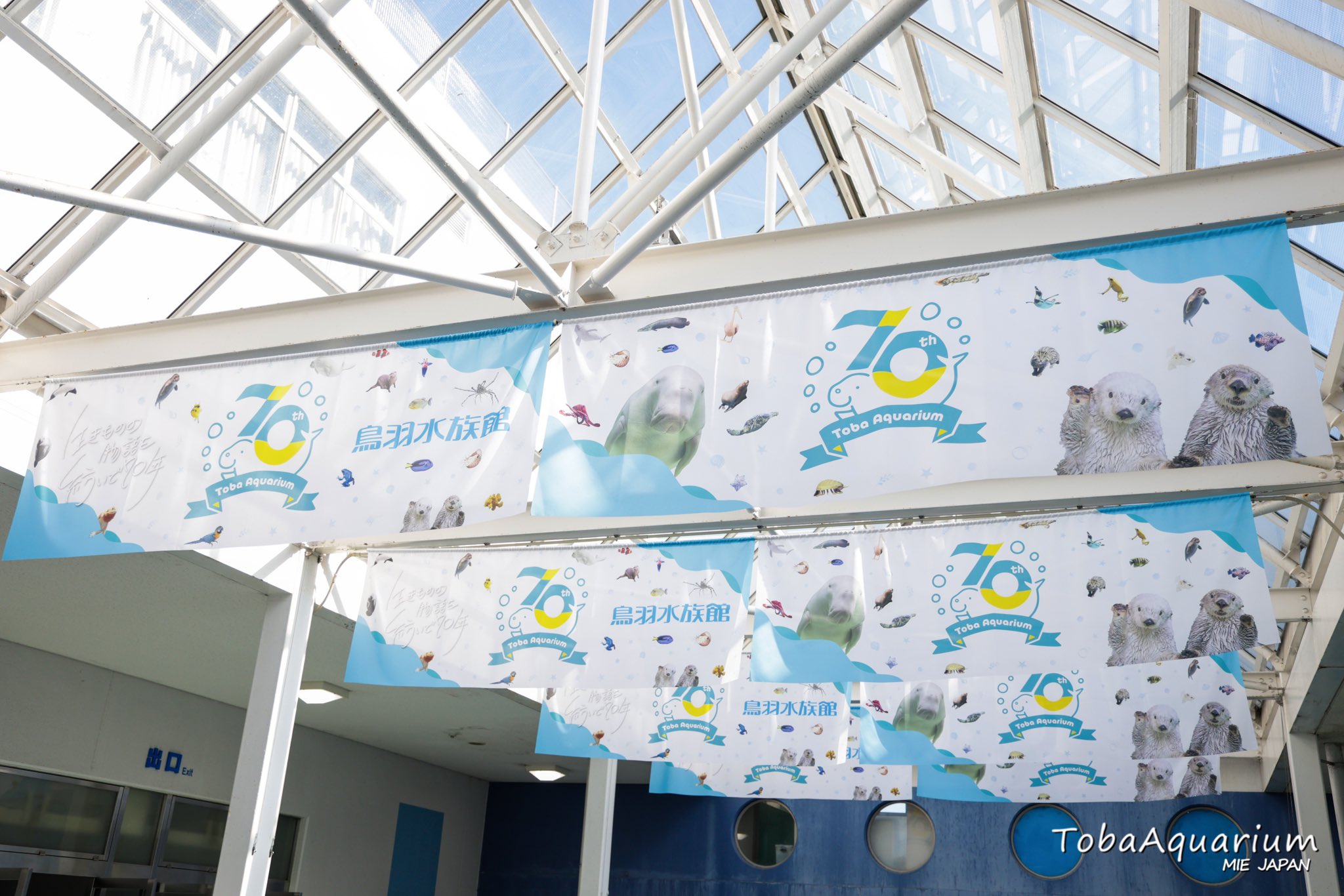 鳥羽水族館 鳥羽水族館（TOBA AQUARIUM） on X: 