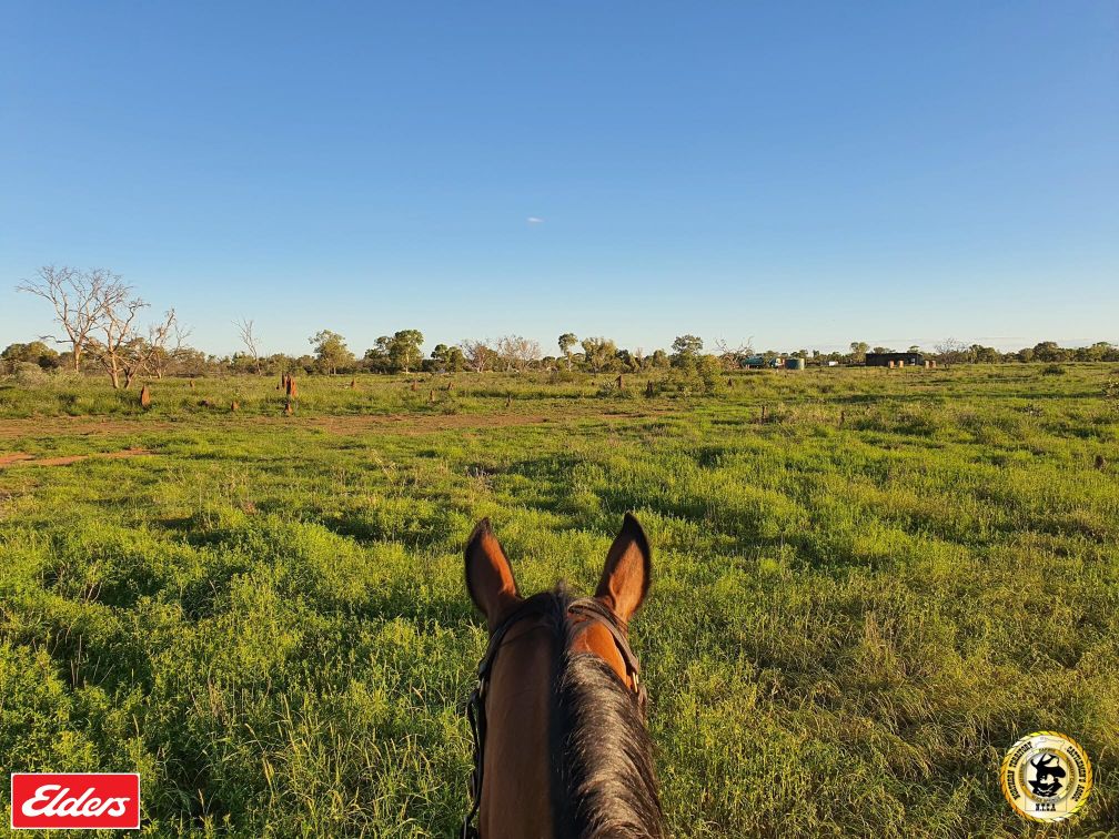 NTCA Newsletter I March 1 2025 - mailchi.mp/ntca/newslette…