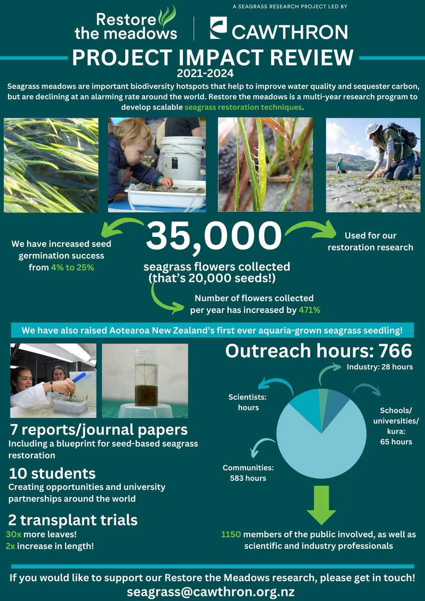 🌿 On #WorldSeagrassDay, we’re reflecting on three years of our Restore the Meadows program! We've done more than just pioneer seed-based restoration in Aotearoa. Huge thanks to our funders &amp; supporters for making this possible!🌊 #Seagrass #OceanRestoration