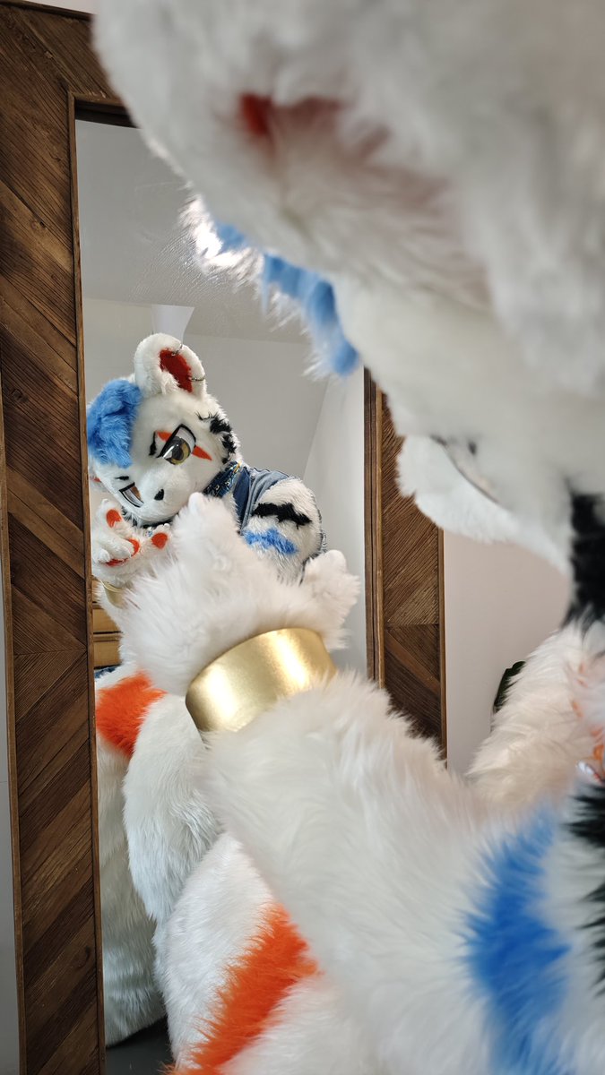 #FursuitEveryday
这简直就是我（？