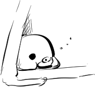 テントで餅になるインコ 