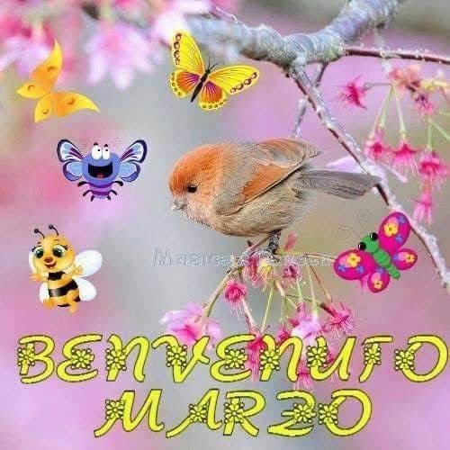 RITABIANCHi56 tweet media