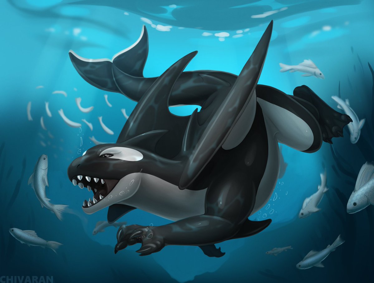 Orca dragon 

for: Tacotrain200 [FA]