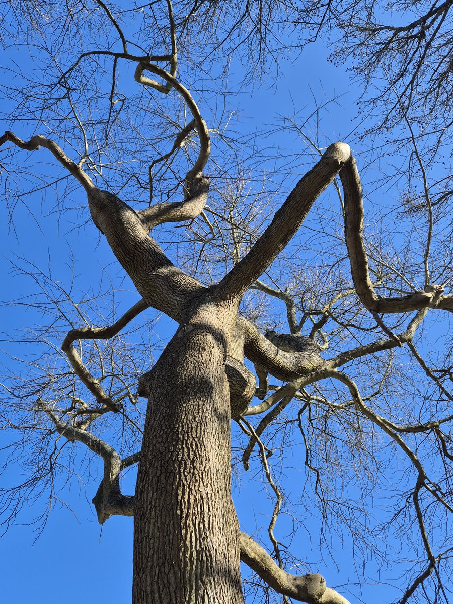 Circumstances, constraints, and hardships can conspire to limit and contort the ways we live our lives. In these harsh and polarising times, it feels even more important to seek and nurture the generative and generous connections between us which foster collective flourishing.