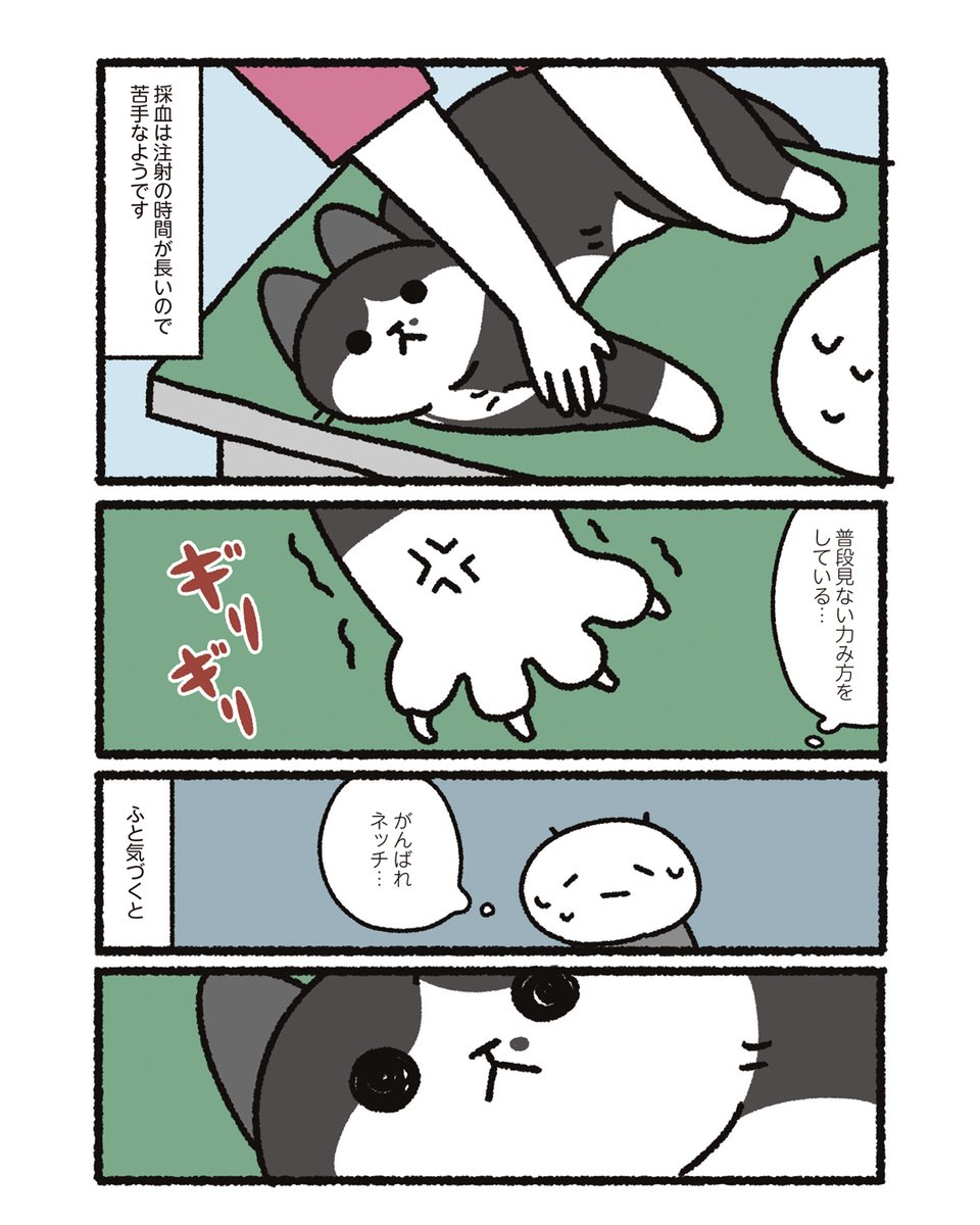 注射とうちの猫(2/2) 