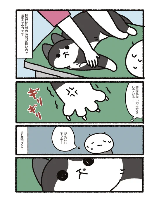 注射とうちの猫(2/2) 