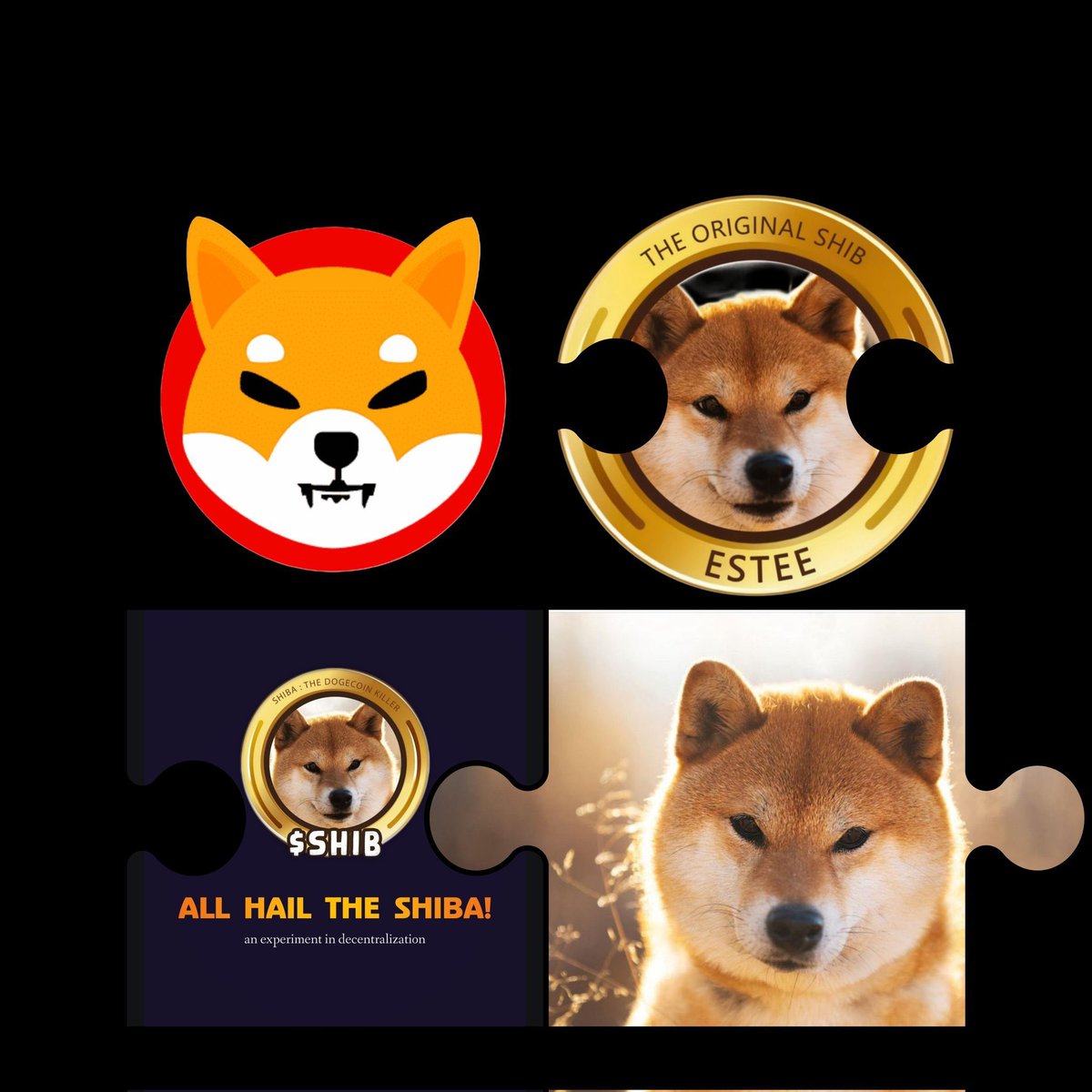 Gemswarrior's tweet photo. @ShibainuCoin @esteecoin Hi, brother! #FriendShib #Estee https://t.co/cTqaSUYbFP