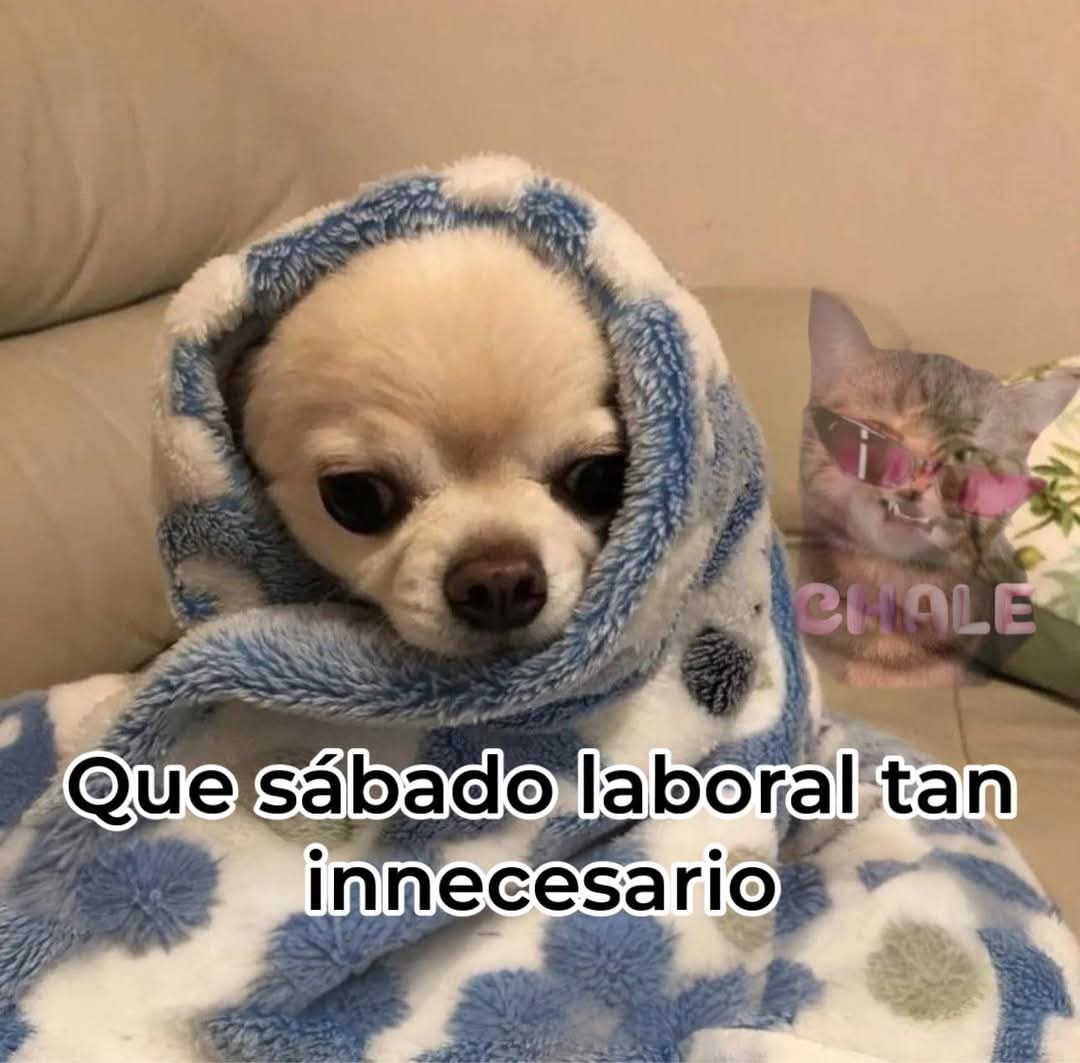 En Júpiter (@en_jupiter_) on Twitter photo 